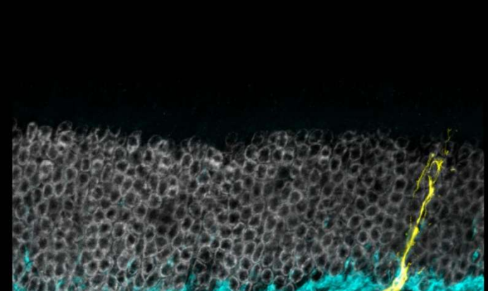 1531996972667252Ld8v.png 88.png