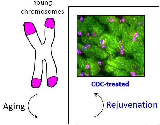 15320460574906994loI.png 圖片29.png