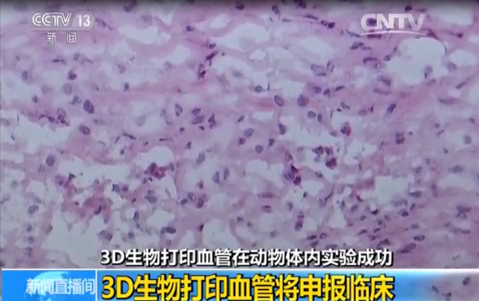 1532048245299381sHpK.png 圖片45.png