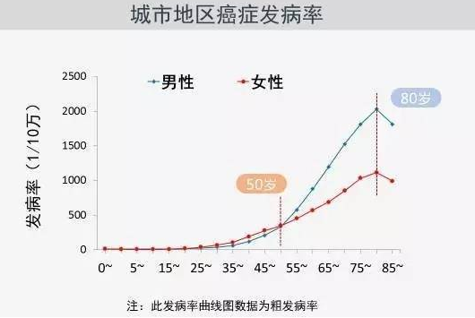 1532049055387032FxYE.png 圖片80.png