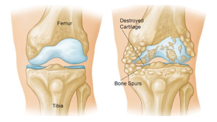 1532050017773775oZve.png 圖片121.png