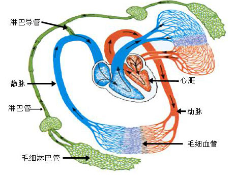 1532051220198916Owru.png 圖片169.png