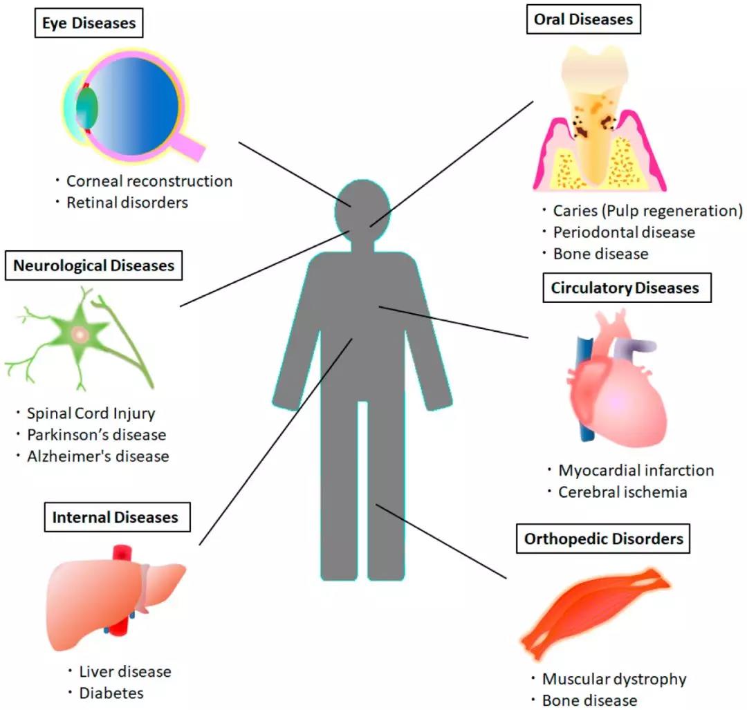 1555900019710269RnJP.jpg 微信圖片_20190422102613.jpg