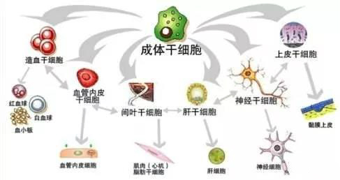 15603948846766525aM7.jpg 微信圖片_20190613105845.jpg